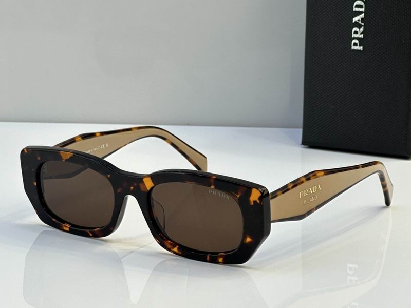 Prada Glasses smh96 (4)