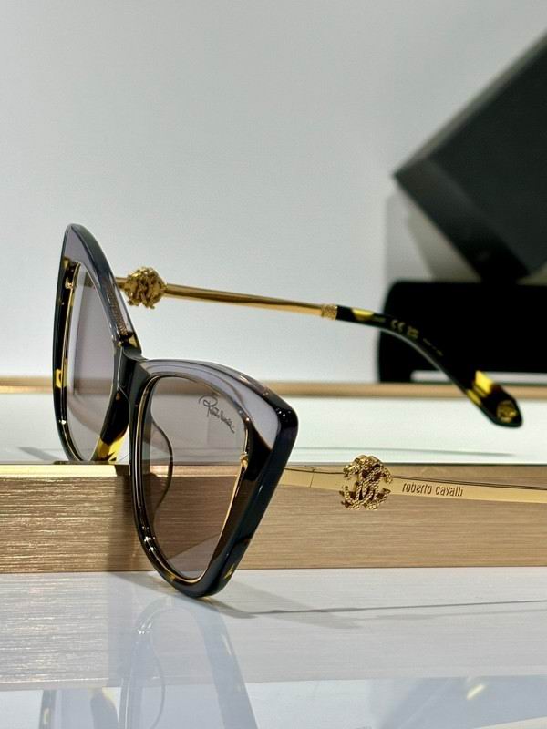 Roberto Cavalli Glasses 03smh02 (7)