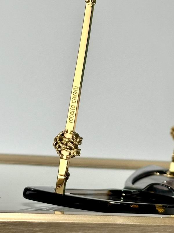 Roberto Cavalli Glasses 03smh02 (8)