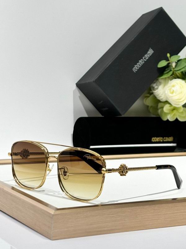 Roberto Cavalli Glasses 03smh03 (3)