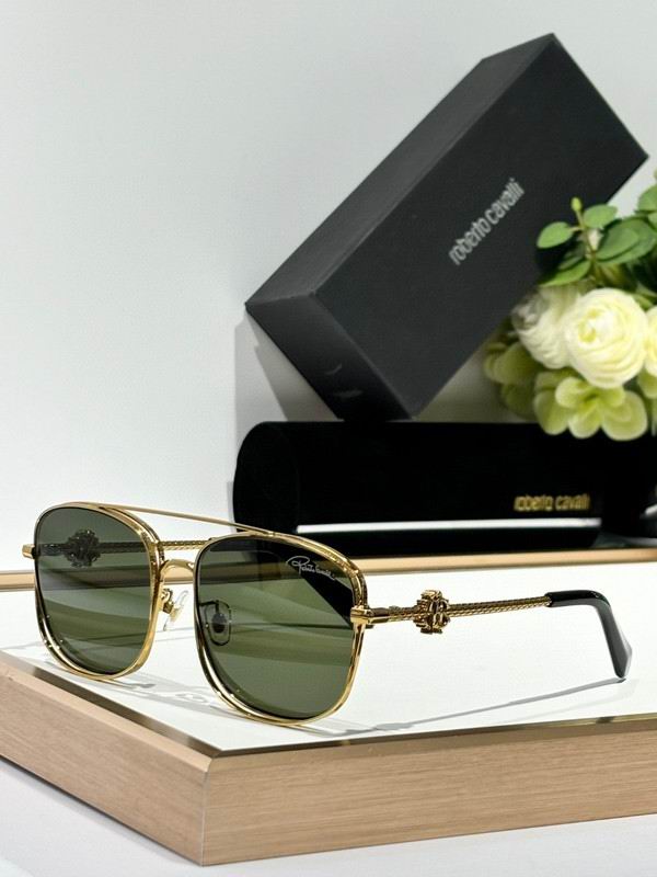 Roberto Cavalli Glasses 03smh03 (4)