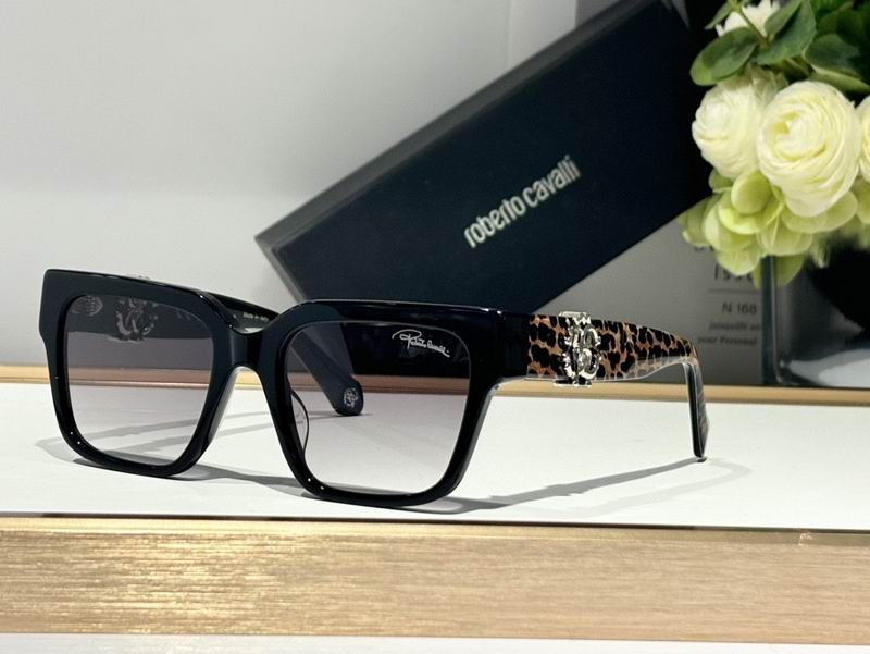 Roberto Cavalli Glasses 03smh04 (4)