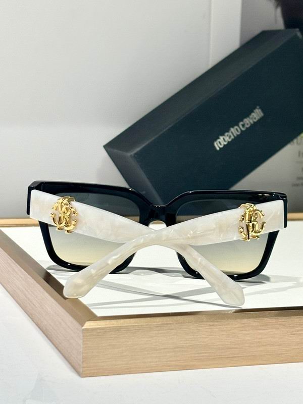 Roberto Cavalli Glasses 03smh04 (8)