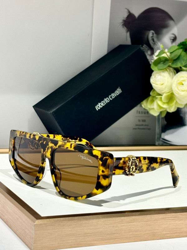 Roberto Cavalli Glasses 03smh05 (3)