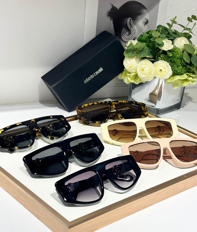 Roberto Cavalli Glasses 03smh05 (9)