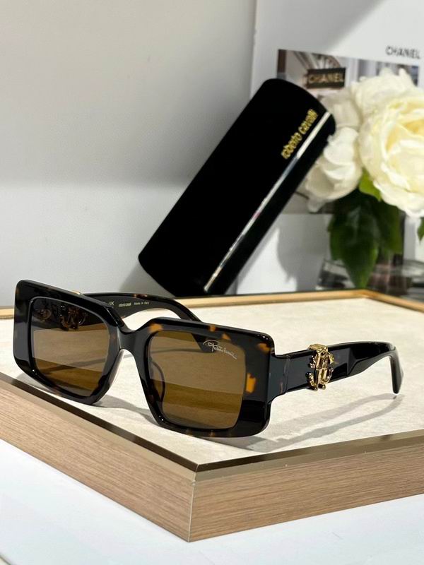 Roberto Cavalli Glasses 03smh06 (2)