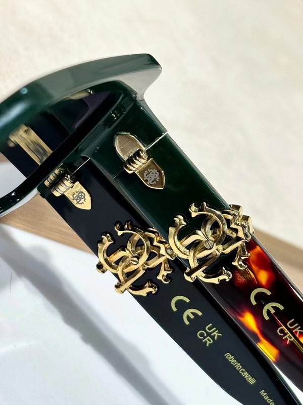 Roberto Cavalli Glasses 03smh06 (7)
