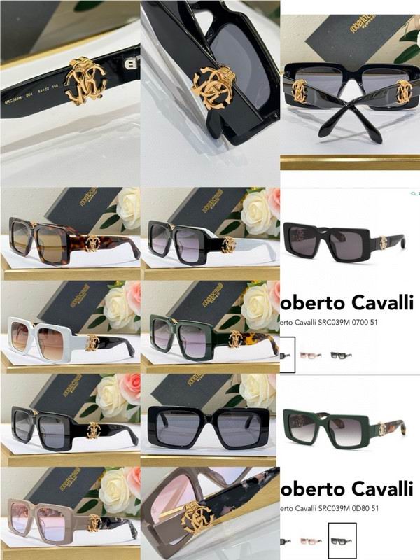 Roberto Cavalli Glasses 03smh08 (10)