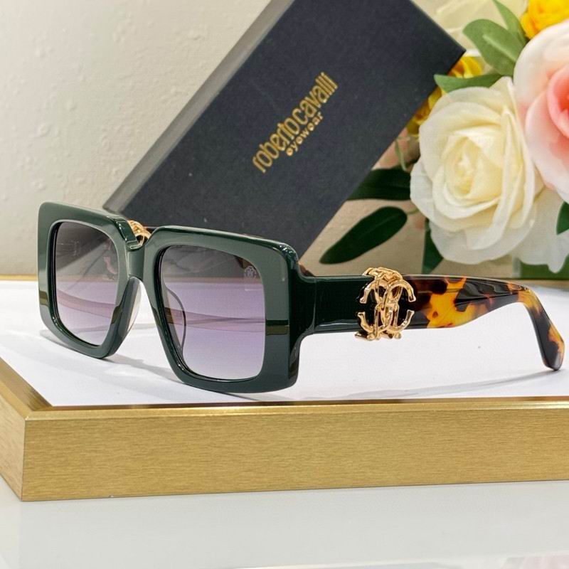 Roberto Cavalli Glasses 03smh08 (6)