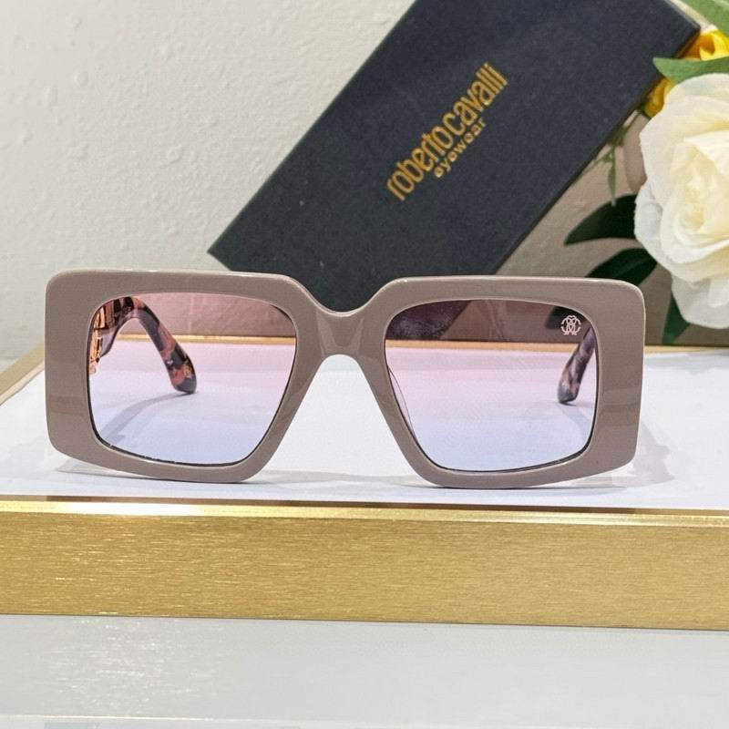 Roberto Cavalli Glasses 03smh08 (8)