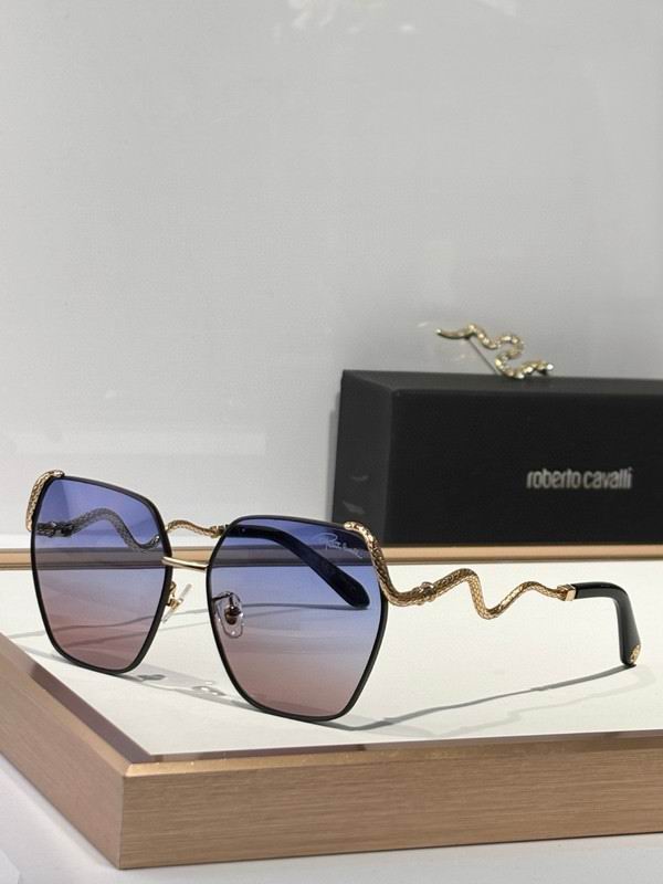 Roberto Cavalli Glasses 03smh09 (1)
