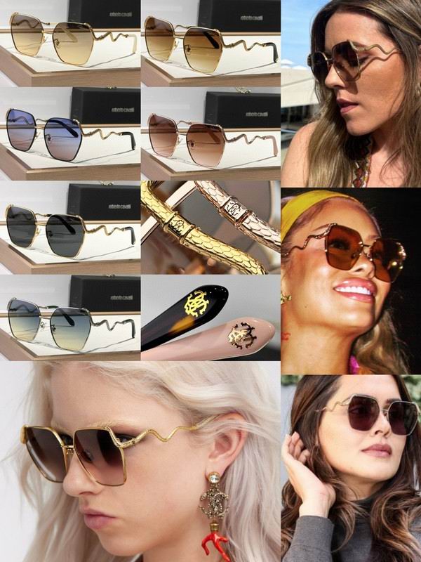 Roberto Cavalli Glasses 03smh09 (10)