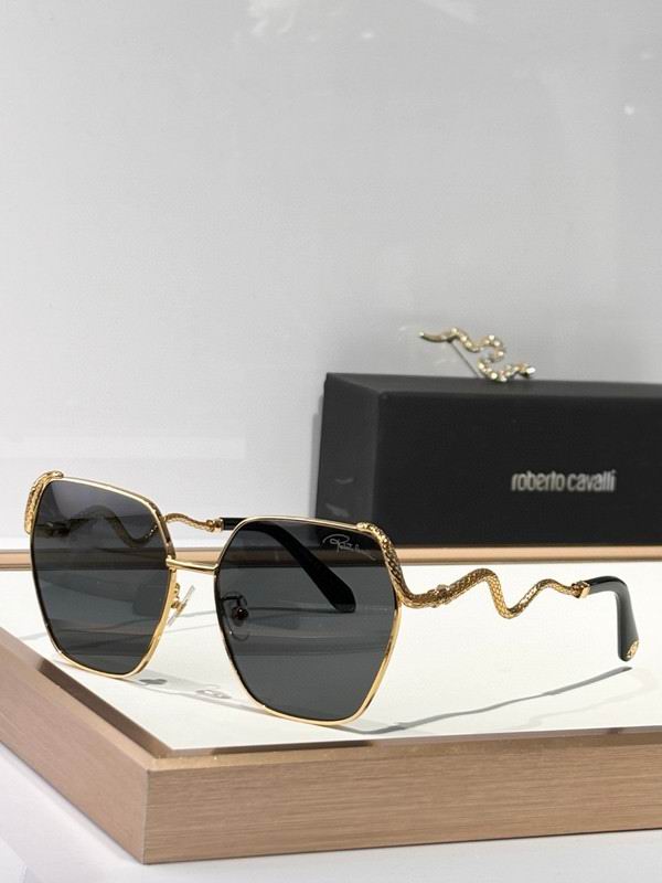Roberto Cavalli Glasses 03smh09 (2)