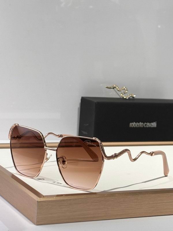 Roberto Cavalli Glasses 03smh09 (4)