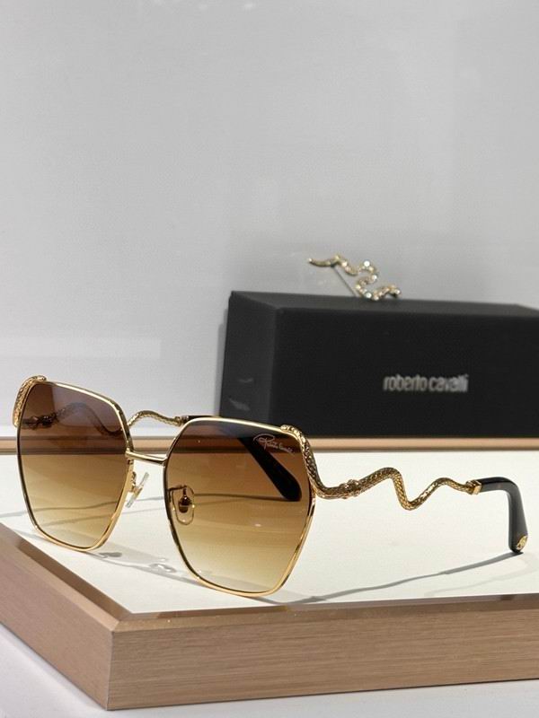 Roberto Cavalli Glasses 03smh09 (6)