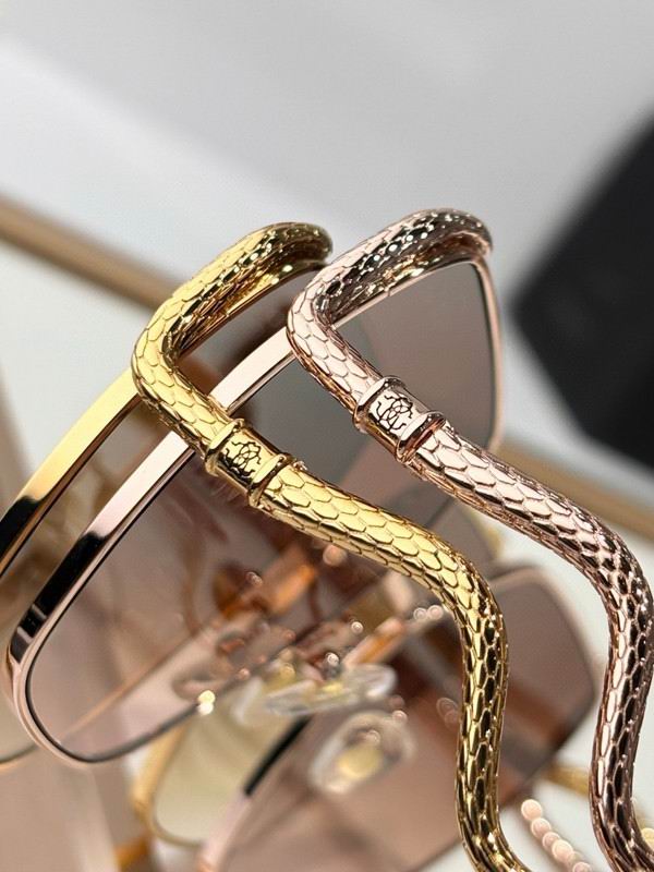 Roberto Cavalli Glasses 03smh09 (7)