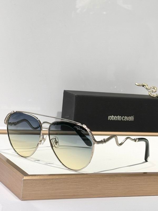 Roberto Cavalli Glasses 03smh10 (3)