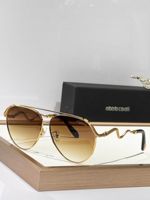 Roberto Cavalli Glasses 03smh10 (5)