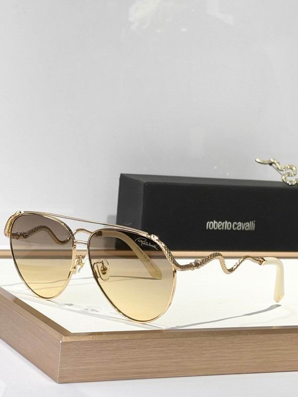 Roberto Cavalli Glasses 03smh10 (6)