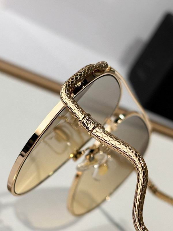 Roberto Cavalli Glasses 03smh10 (7)