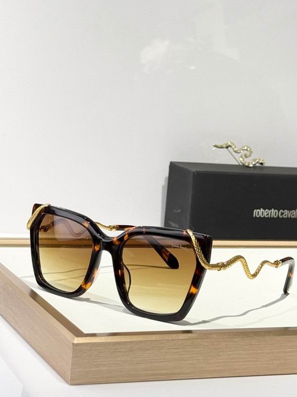 Roberto Cavalli Glasses 03smh11 (1)