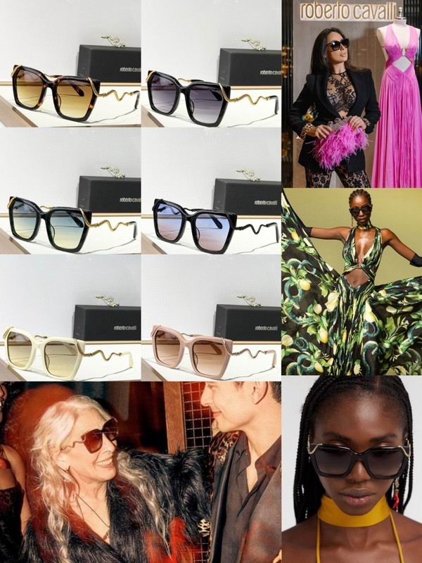 Roberto Cavalli Glasses 03smh11 (10)