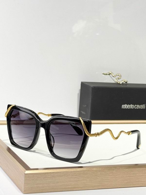 Roberto Cavalli Glasses 03smh11 (2)
