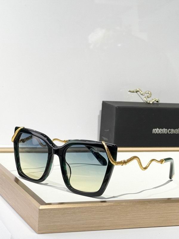 Roberto Cavalli Glasses 03smh11 (3)