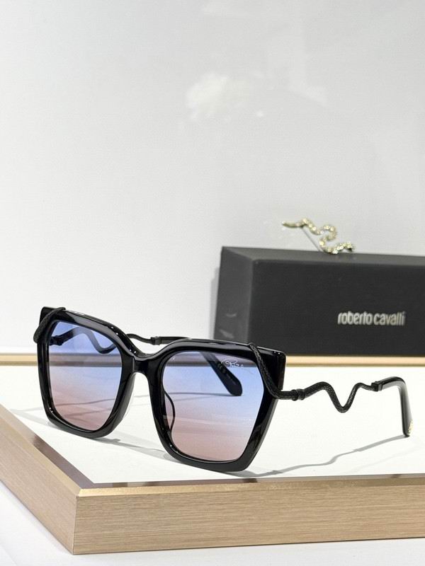 Roberto Cavalli Glasses 03smh11 (4)