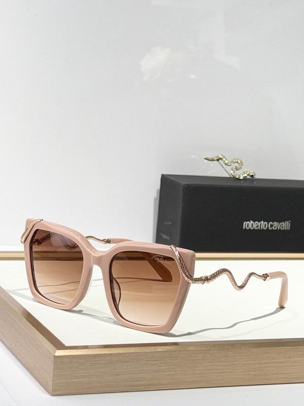 Roberto Cavalli Glasses 03smh11 (6)