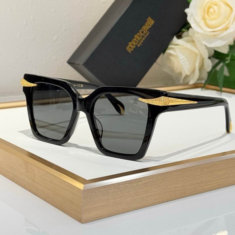 Roberto Cavalli Glasses 03smh12 (7)