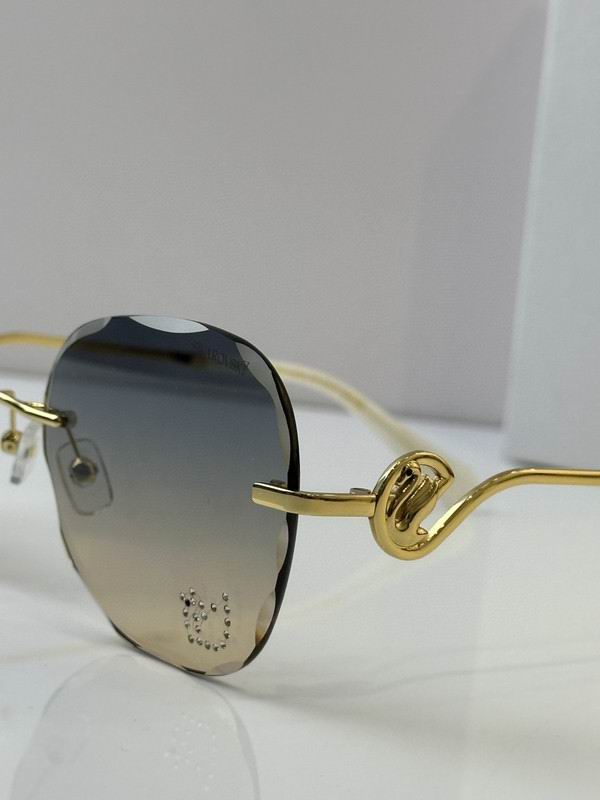 Swarovski Glasses 03smh09 (7)