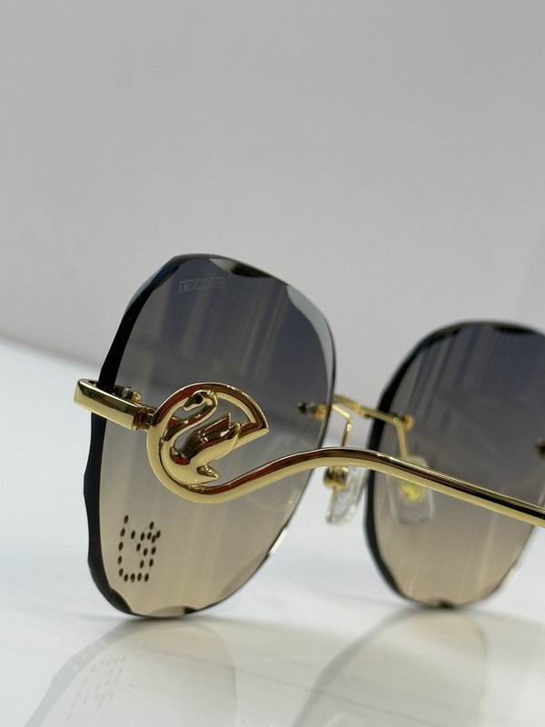 Swarovski Glasses 03smh09 (9)