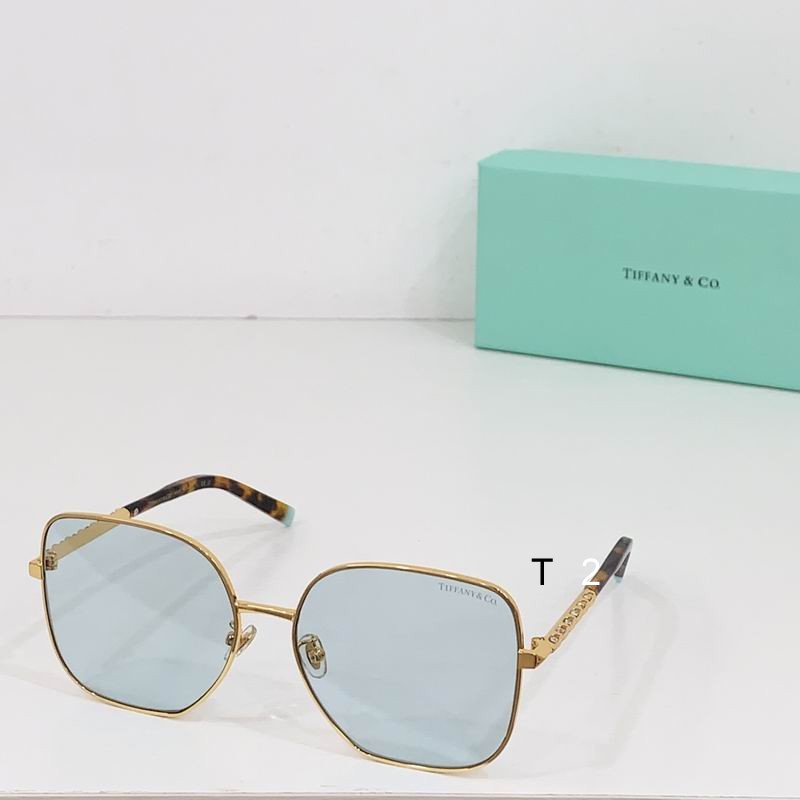 TIFFANY Co F3078B 60 16-140 b06