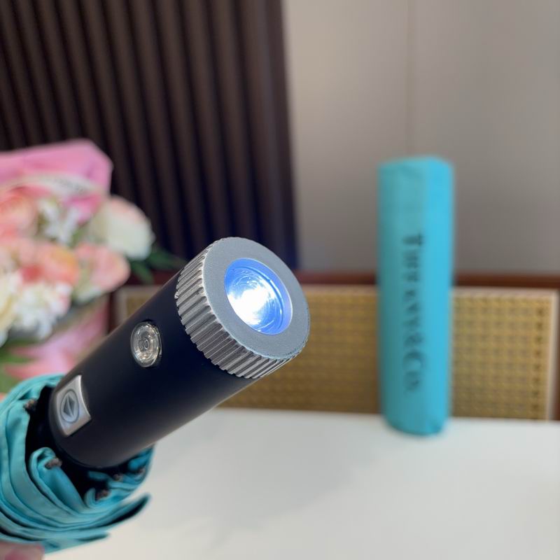 Tiffany Umbrella (39)