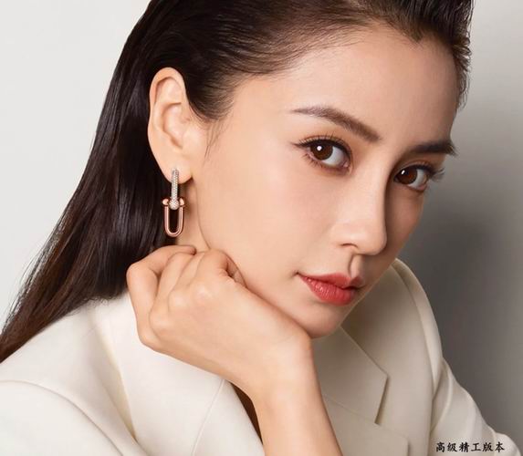 Tiffany earring 01lyh06 (9)