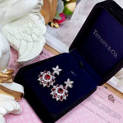 Tiffany earring 01lyh07 (4)