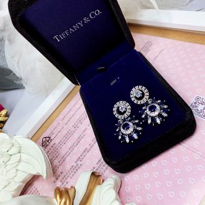 Tiffany earring 01lyh08 (5)