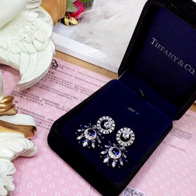 Tiffany earring 01lyh08 (6)