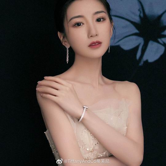 Tiffany earring 01lyh16 (8)