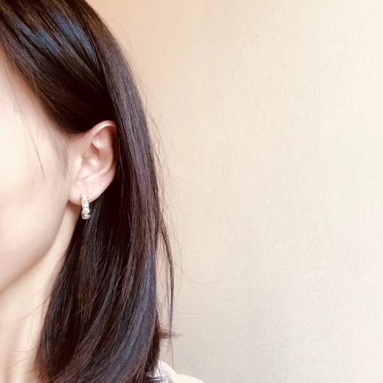 Tiffany earring 01lyh25 (8)