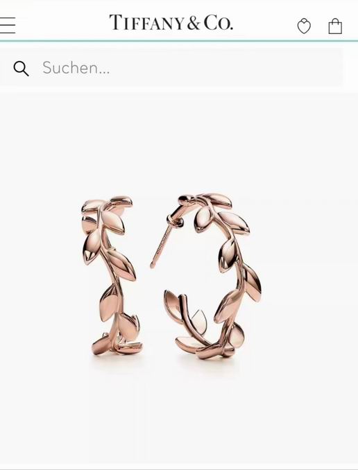 Tiffany earring 01lyh31 (6)