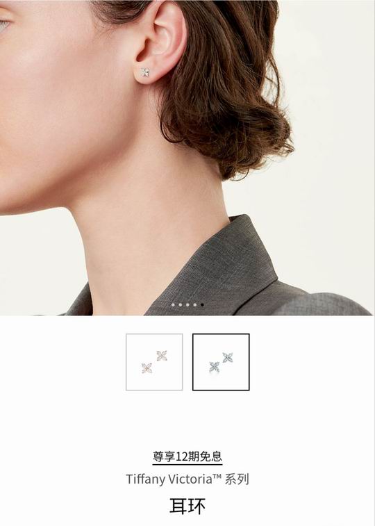 Tiffany earring 01lyh34 (7)