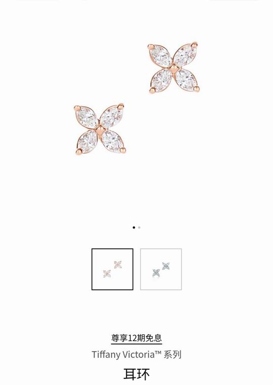 Tiffany earring 01lyh34 (9)