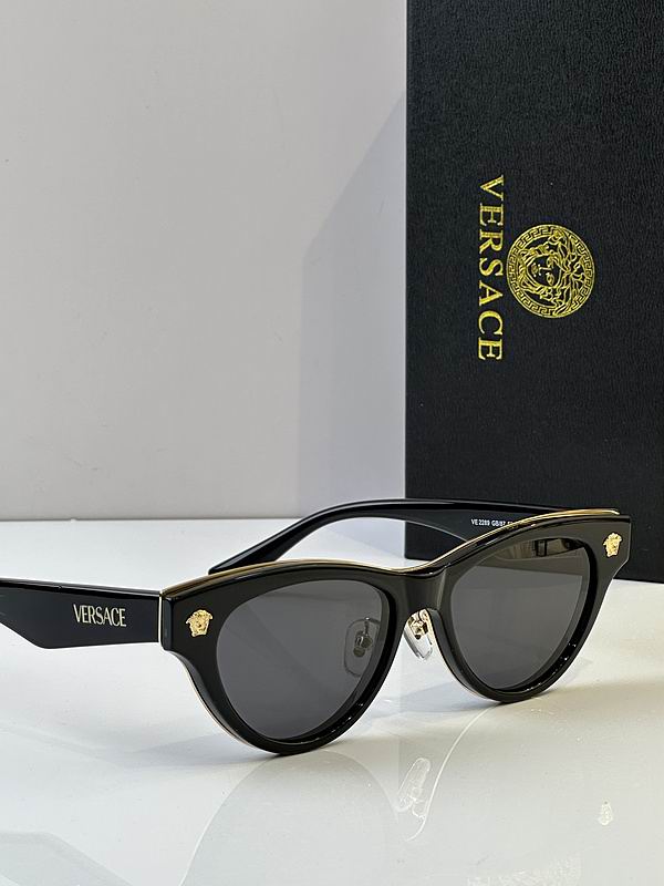 Versace Glasses 03smh100 (10)