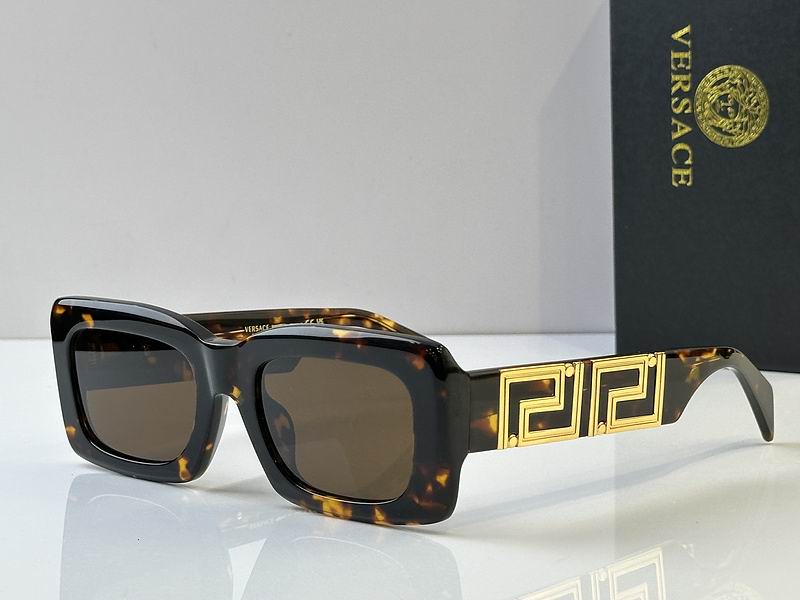 Versace Glasses 03smh101 (2)