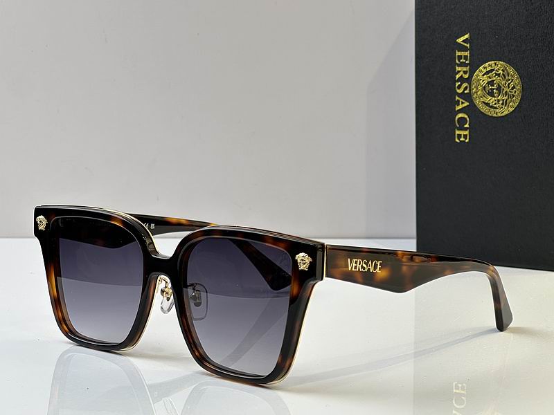 Versace Glasses 03smh102 (2)