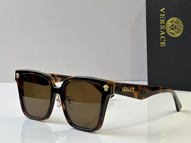 Versace Glasses 03smh102 (3)