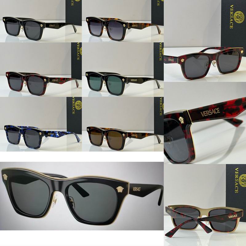 Versace Glasses 03smh113 (10)