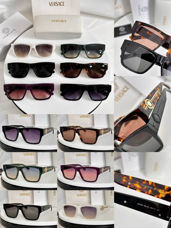 Versace Glasses 03smh119 (10)